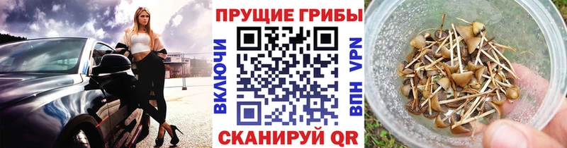 Псилоцибиновые грибы мухоморы  где можно купить   Борисоглебск 