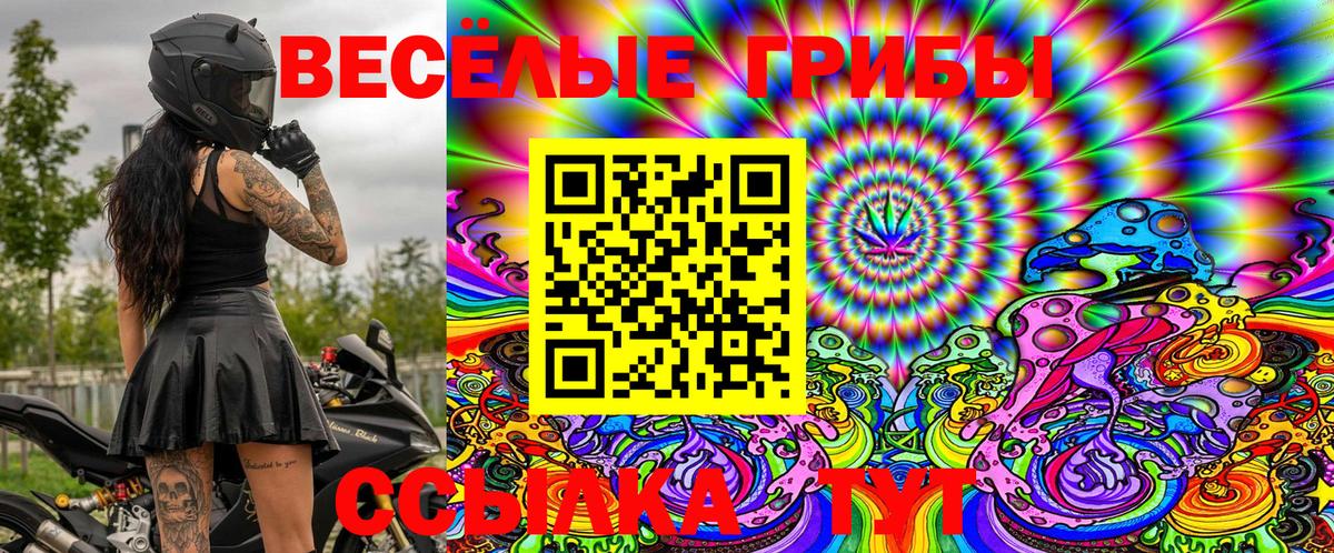 Галлюциногенные грибы Cubensis Борисоглебск